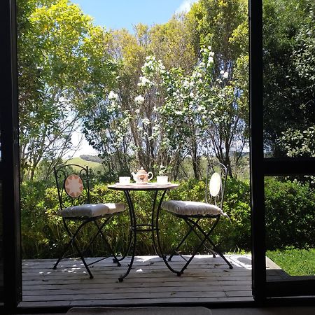 Dangela Boutique Lodge Auckland Oda fotoğraf